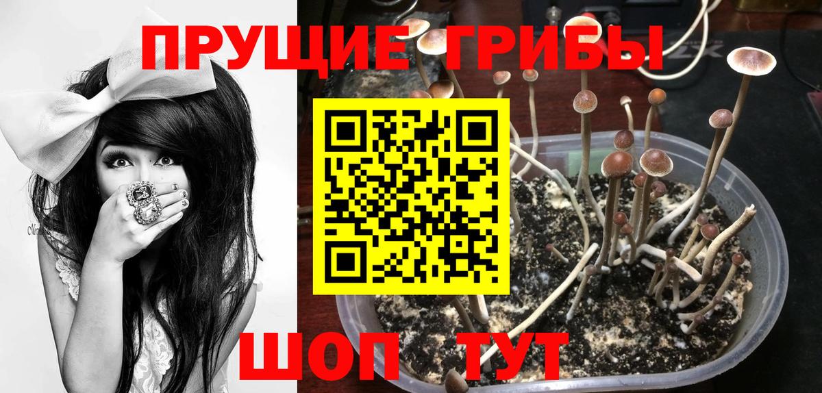 Галлюциногенные грибы прущие грибы Воткинск