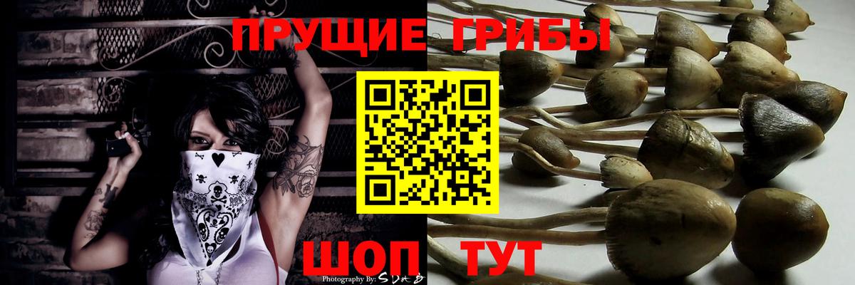 Псилоцибиновые грибы Cubensis  Галлюциногенные грибы ЛСД  Вход с VPN  дарнет шоп  Воткинск 